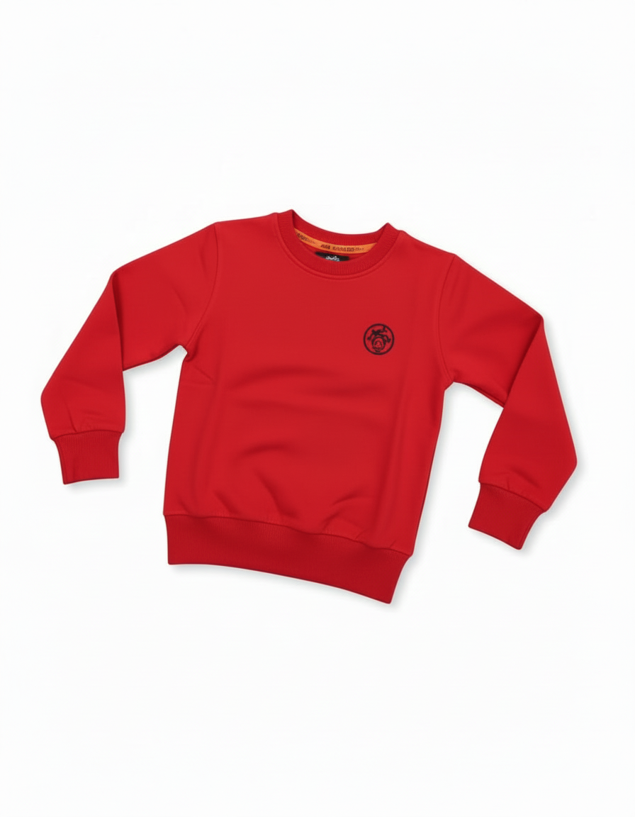 Aydine sweat pour garçon